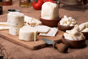 Süt Ürünleri